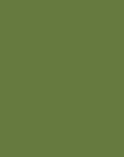 https://cdn.shopify.com/s/files/1/0027/6447/2365/products/Khaki-g.jpg?v=1563702030