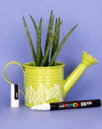 https://cdn.shopify.com/s/files/1/0027/6447/2365/products/3m.jpg?v=1563182774