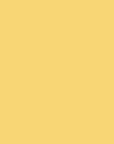https://cdn.shopify.com/s/files/1/0027/6447/2365/products/Apricote.jpg?v=1563699988