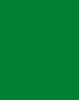 https://cdn.shopify.com/s/files/1/0027/6447/2365/products/Green_7debc009-76dc-4c05-b348-ac3da8af5545.jpg?v=1563700271